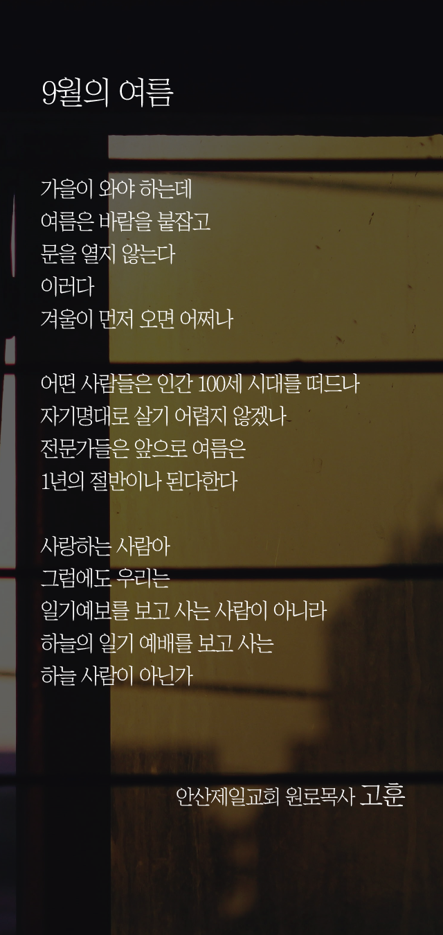 (20240908)9월의 여름-01.png