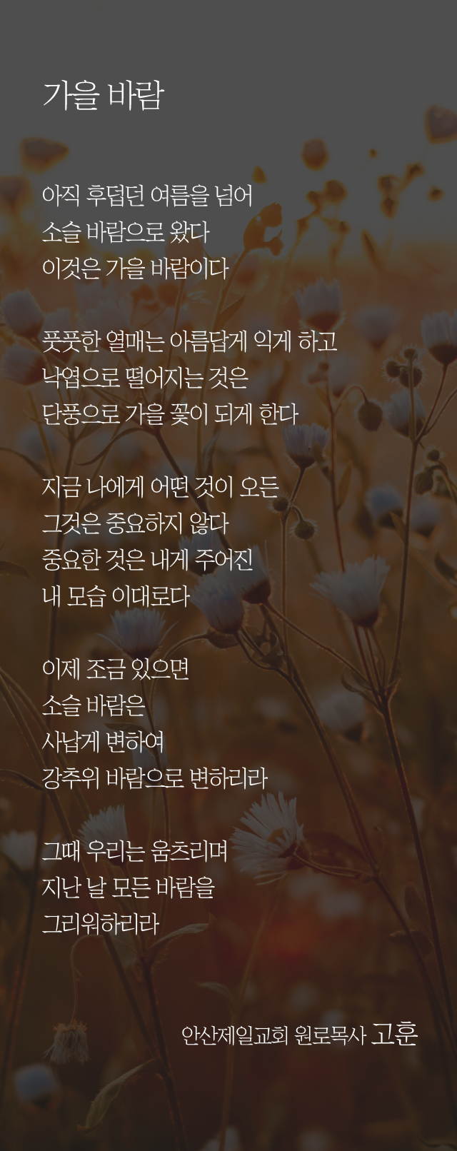 (20241020)가을바람-01.png